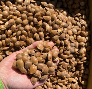 Semillas de almendras naturales secas horneadas nuevas de alta calidad con cáscaras rotas para alimentos - Product Image 4