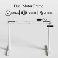 PRORIALS Bureau debout électrique moderne motorisé réglable en hauteur, charge 120 kg, double moteur sans balais, en acier inoxydable, montage facile