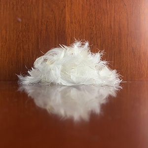 Bán Buôn Rửa Trắng Vịt Xuống Lông Đầy Pluming Công Cụ Comforter Ngỗng Xuống Lông Điền Plume Vịt Lông - Product Image 4