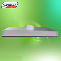 Unit Filter HEPA Industri SENBAO untuk Plafon 1220x610x150mm untuk Sistem AHU Ruang Bersih