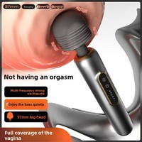 Beheizter Vibrierender Einfarbiger AV-Stab für Frauen Multifrequenz Intim-Stimulator USB Erwachsenen-Sexspielzeug