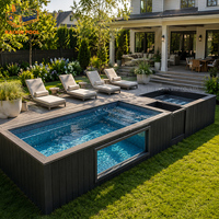 Piscine de bien-être intégrée hors sol, design noir, en WPC, avec conteneur en fibre de verre de 20 pieds, grand spa jacuzzi de 40 pieds