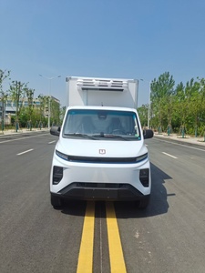 Camioneta <span class=keywords><strong>Refrigerada</strong></span> Eléctrica Geely F1E, Mini Camión de Carga Ligera para Transporte de Alimentos y Medicamentos en Cadena de Frío, Disponible con Volante a la Izquierda y Derecha - Product Image 5