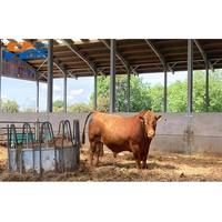 Conception d'écuries pour chevaux, bâtiments d'arènes d'équitation en acier, écuries et arènes pour chevaux, couvertures de terrains de sport