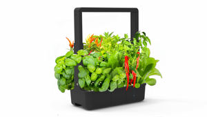 Macetas Inteligentes para Jardín Interior, Sistemas de Cultivo Hidropónico, Maceta Inteligente - Product Image 2