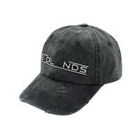 Gorra de Béisbol al por Mayor, de Algodón, Bordada, Transpirable, Ajustable, para Deportes al Aire Libre, Unisex, con Logotipo Personalizado