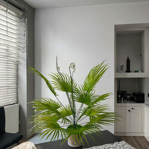 Offre Spéciale Kwai <span class=keywords><strong>palmier</strong></span> plante touche réelle grandes feuilles bonsaï arbre Tropical artificiel <span class=keywords><strong>pour</strong></span> la décoration intérieure arbustes en <span class=keywords><strong>pot</strong></span> décor de mariage - Product Image 4