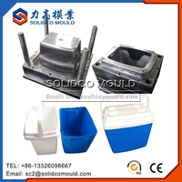 Caja enfriadora de hielo de plástico, molde de inyección