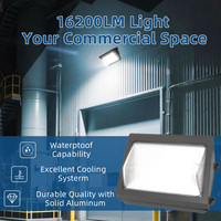 Lámpara de Pared Industrial LED con Lente de Vidrio Atenuable de 0-10 V, Sin Amarilleo, 40 W, con Fotocélula, Resistente al Agua IP65, Montaje en Pared