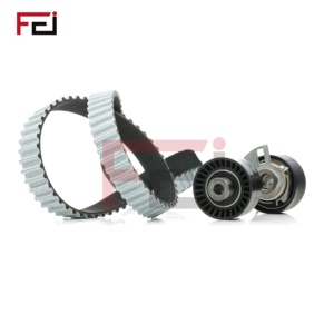 Nouveau kit de pompe à eau à synchronisation automatique FEI pour Citroën <span class=keywords><strong>Peugeot</strong></span> Expert et pour Transit Connect KP25672XS 1609086880 530069110 - Product Image 5