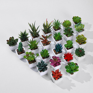Plantas Suculentas Artificiales de PVC de Alta Calidad, Realistas, Duraderas y Ecológicas, en Maceta Cuadrada Pequeña, para Decoración Interior y Exterior del Hogar - Product Image 6
