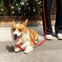 Laisse pour chien en ruban enduit de PVC, sangle de poitrine en forme de I, imperméable, extensible, traction réglable, harnais pour chien, entraînement de marche pour animaux de compagnie