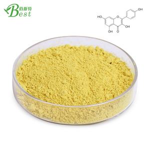 Factory Outlet Health Care Supplement <span class=keywords><strong>kaempferol</strong></span> extrato em pó <span class=keywords><strong>30%</strong></span> 50% - Product Image 2