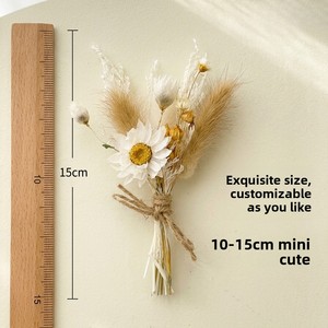 Mini Ramo de <span class=keywords><strong>Flores</strong></span> Secas Transfronterizo de China, Regalo Festivo, Decoración, <span class=keywords><strong>Flores</strong></span> <span class=keywords><strong>Preservadas</strong></span>, Recuerdo, Pequeño <span class=keywords><strong>Ramillete</strong></span> en Caja, Modelo 9698 - Product Image 3