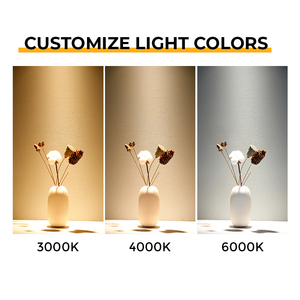 Mini <span class=keywords><strong>spot</strong></span> LED <span class=keywords><strong>encastrable</strong></span> 3W, éclairage intérieur réglable, idéal pour vitrine - Product Image 3