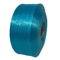 Factory OEM Order Manufacturer Polypropylene Filter Yarn PP Hollow Yarn 600D FDY High Tenacity Dyed for Webbing Tape