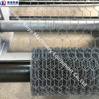 Machine de fabrication de grillage hexagonal pour cages à poulets, haute productivité, avec écran tactile PLC et revêtement PVC galvanisé