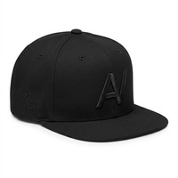 Gorras Snapback al por Mayor, Gorras de Fútbol Americano, Gorras Bordadas en 3D de 6 Paneles