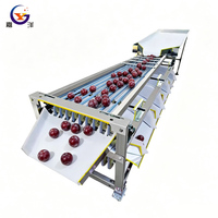 Sorteermachine voor blauwe bessen, fruit en groenten, geschikt voor aardappelen, aardbeien, tomaten, appels, mango's en meloenen, met maatselectie en eenvoudige bediening.