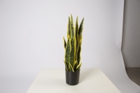 Plantes artificielles imprimées en 3D, Sansevieria jaune, petit bonsaï, 46 cm, très vendues