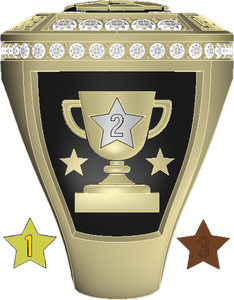 Bague <span class=keywords><strong>de</strong></span> championnat d'école primaire personnalisable et brillante <span class=keywords><strong>de</strong></span> haute qualité pour enfants - Product Image 5