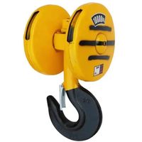 Nouvelle grue de levage Okoda pour chariot élévateur, palan électrique de levage sécurisé de grande capacité, crochet rotatif, protection IP54 de style américain, capacité de charge de 3T à 10T
