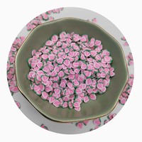 500G 5Mm 10Mm Perzik Polymeer Klei Plakjes Voor Diy Ambachten Klei Modder Slijm Fruit Klei Hagelslag Thuis Miniatuur Voedsel Decor