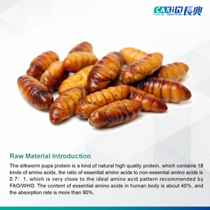 Changxing Marke Aminosäure-Taurin Antioxidans Schönheitsprodukte Orale <span class=keywords><strong>L</strong></span>ösung Aminosäure-Taurin Flüssigkeit OEM ODM - Product Image 2