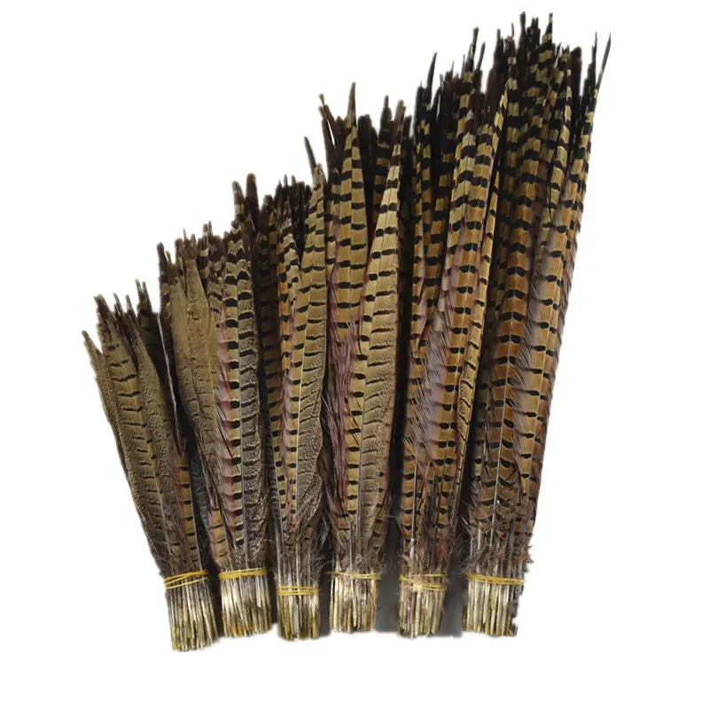 Cheap sell high quality All size Natural Ringneck Pheasant Tail Feather