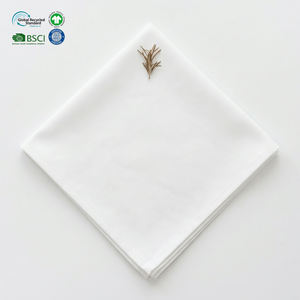 B2B Wholesale White Pure Cotton Cloth Hotel Napkins 20x20 Inch Hemmed Edge Reusable Customizable Sizes for Fine <b>Dining</b> - Product Image 1