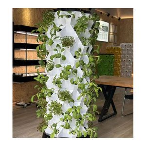 Sistema de Jardín Hidropónico Automático Interior Grande Personalizado, <span class=keywords><strong>Invernadero</strong></span> <span class=keywords><strong>Casero</strong></span> para Fresas - Product Image 1