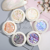 Échantillon Gratuit Autocollants 3D pour Ongles en Plastique Coquille d'Abalone Irrégulière 6 Couleurs Facile à Appliquer Décoration DIY JiaSi Cosmetics JS-S1