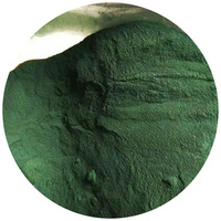 Poudre de spiruline de qualité cosmétique, extrait d'herbes sauvages fraîches en gros pour la peau, conditionnée en fût