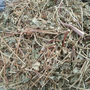 Vente chaude-poudre de fruit de la passion séchée avec un bon prix sofia - Product Image 1