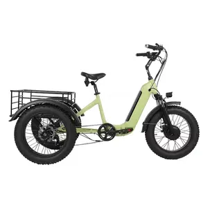 20 pollici pieghevole trasporto di goccia fat tire 3 grande ruota anteriore drive 48v 500w 750w elettrico trike triciclo elettrico