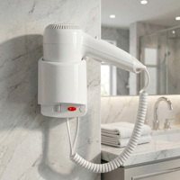 Sèche-cheveux et stylant électrique mural Honeyson Hotel One Step 1200W avec diffuseur, construction en plastique