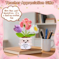 Jolies fleurs de carnation au crochet faites à la main, 3 fleurs dans un pot, cadeaux de remerciement pour la fête des enseignants, cadeaux tricotés pour la remise des diplômes, anniversaire, retraite