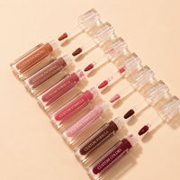 Teinte à lèvres hydratante et nourrissante effet verre brillant avec logo personnalisé, teinte à lèvres juteuse, gloss à lèvres waterproof, fabricant OEM