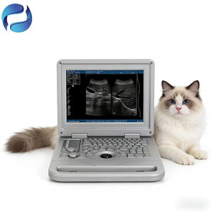 Sistema de Ultrasonido Digital Completo para Examen de Salud Animal, <span class=keywords><strong>Precio</strong></span> Directo de Fábrica - Product Image 1
