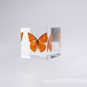 Adorno de Mariposa Acrílica de 8 cm, Rectangular, Decoración Moderna para el Hogar, Regalo - Product Image 4