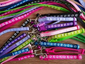 Ensemble collier et laisse pour chien, boucle à dégagement rapide pour l'extérieur, collier pour chiot réglable à imprimé, laisse pour animal de compagnie en nylon souple - Product Image 4