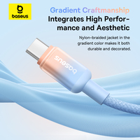 Baseus Discolor Series Câble de chargement rapide USB C vers USB C 100W 2m