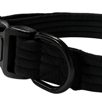 Collier pour chien réglable avec boucle à dégagement rapide, attache laisse en D, sangle de cou pour chiots, chiens de petite, moyenne et grande taille, collier en sangle pour animaux de compagnie