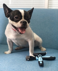 La migliore vendita di cane strumento di demattazione doppio lato <span class=keywords><strong>sottopelo</strong></span> rastrello <span class=keywords><strong>pettine</strong></span> <span class=keywords><strong>per</strong></span> animali domestici - Product Image 6