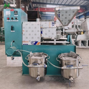 Machine d'extraction d'huile de noix de coco, machine à huile de sésame, presse à huile professionnelle, extracteur 6yl-a60, presse à huile à arbre, machine à huile C - Product Image 2