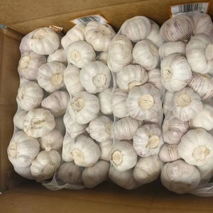 Fornitore di Aglio Fresco all'Ingrosso, Confezione da 10kg in Cartone, Aglio Bianco Normale da 5,5cm per Importatori, Fabbrica Cinese Ajo Ail - Product Image 4