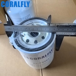 Filtre à carburant pour moteur diesel d'usine chinoise 30-01090-05 FF5301 P559125 BF1223-O SN40513 Filtro De Combustible pour camion - Product Image 3