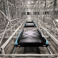 Solution de robot AGV GBS-H150 de haute qualité Robot standard RGV pour l'industrie de la fabrication automatique intelligente à faible coût