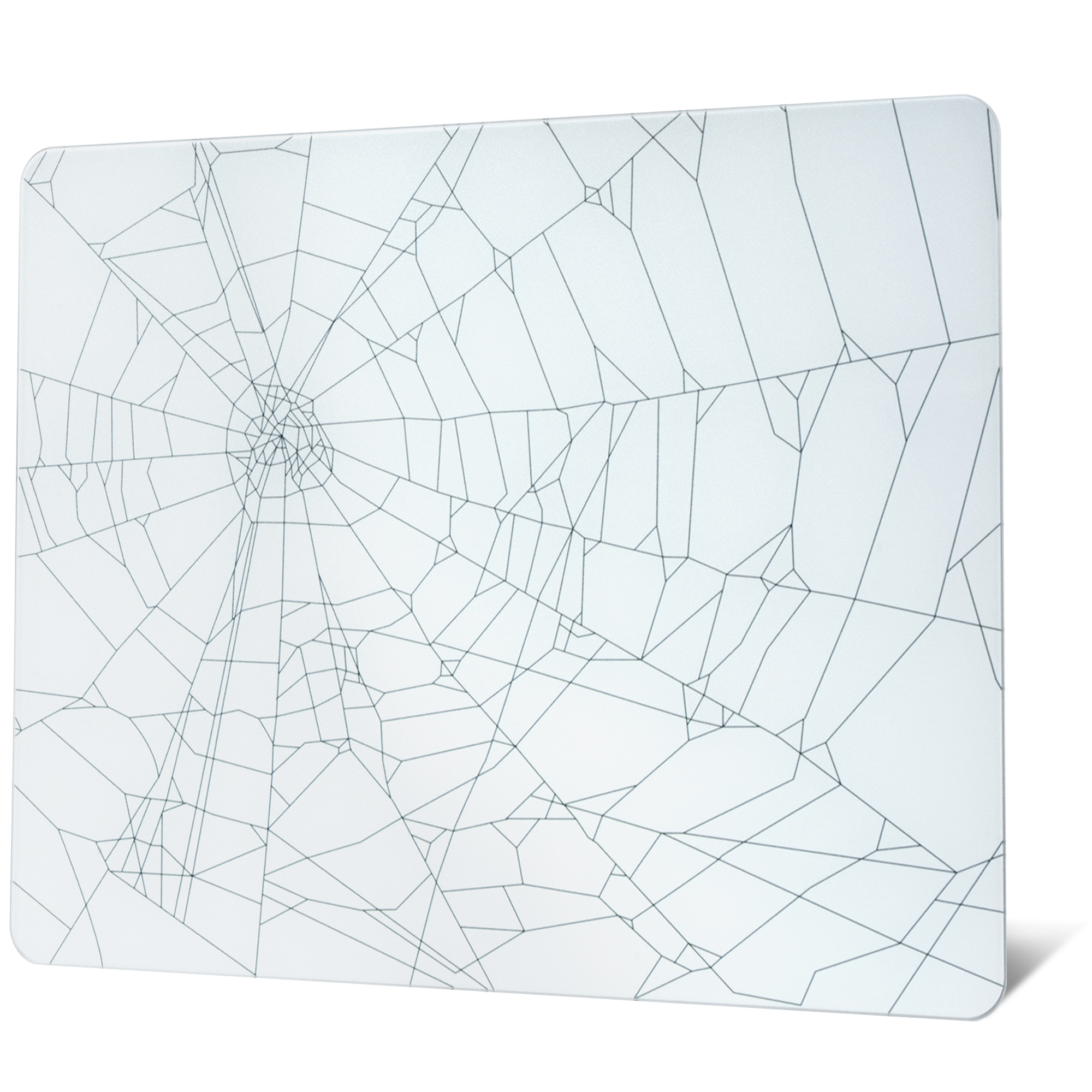 Toile d'araignée blanche