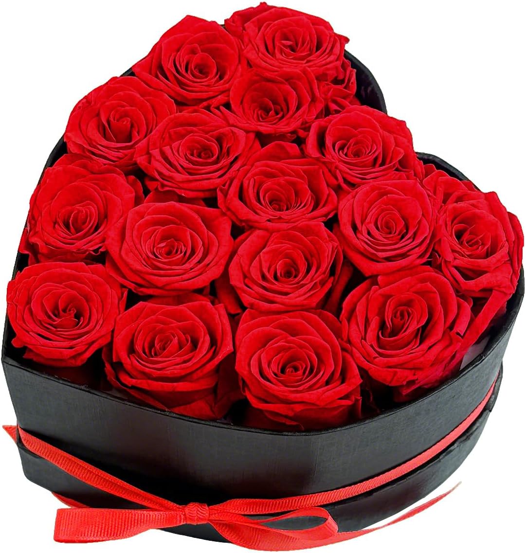 16 rose rosse